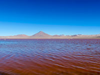 Le rosse acque della laguna colorada