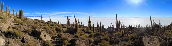 Panorama dalla Isla Incahuasi, al centro del salar di Uyuni