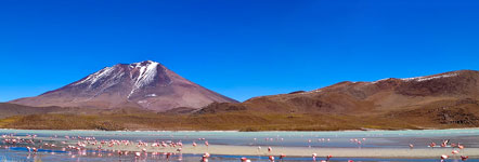 La laguna Hedionda popolata di fenicotteri, 4100 m
