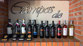 Bodega Campos de Solana a Tarija