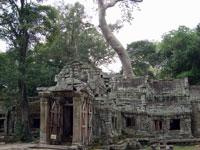 Angkor - Ta Prohm