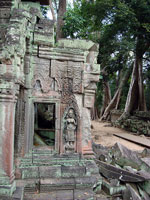 Angkor - Ta Prohm