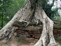 Complesso del Preah Vihear%2C la biblioteca
