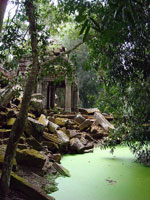 Angkor - Ta Prohm