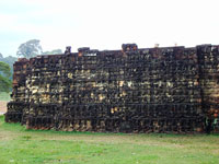 Angkor - Terrazza del Re lebbroso