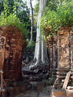 Tempio al Koh Ker