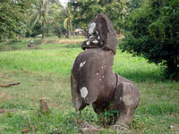 Leone al Beng Mealea