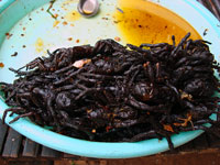Ragni fritti