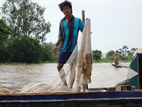 Pescatore ad Angkor Borei