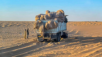 Camion piantato su una duna dell'erg Djourab