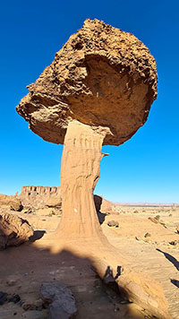 Fungo a Chigeou 16°48'58'' N; 21°39'23'' E

