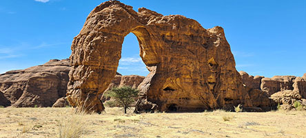 Ennesimo arco di Tokou