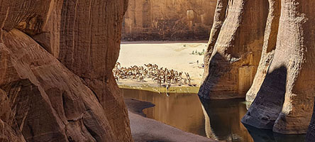Abbeverata di dromedari nella guelta d'Archei