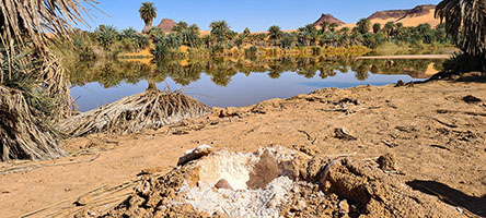 Raccolta del sale bianco da cucina sulla riva sudest del lago Téguédei