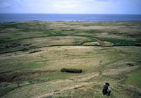 La "fabbrica" dei moai" 1