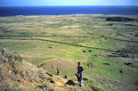 La "fabbrica" dei moai" 2