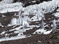 Campo di penitentes 