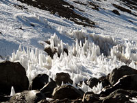 Penitentes al campo 2 
