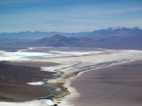 Il salar di Maricunga