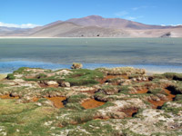 La laguna dSanta Rosa