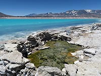 Sorgente di acqua calda termale presso la Laguna Verde
