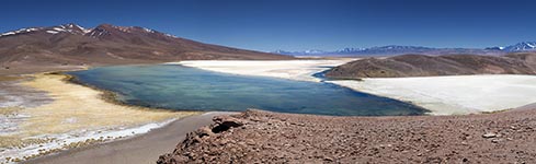 Panorama della laguna Santa Rosa col Salar di Maricunga sullo sfondo