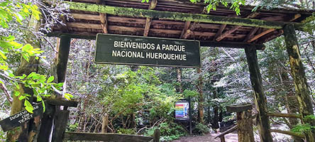 Parco Nazionale di Huerquehue non lontano da Pucon
