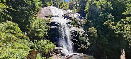 Cascata nel PN di Huerquehue