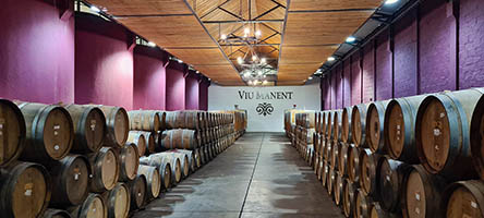 La cantina della Bodega 'Viu Manent' a Santa Cruz
