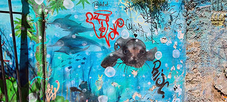 Murales a Valparaiso 3