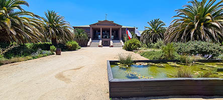 Vigneto Veramonte nella valle di Casablancaa
