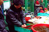 Al mercato di Qungping a Canton