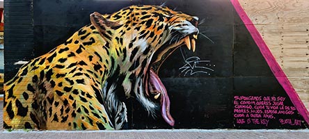 Medellin, El Poblado, murale