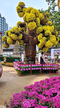 Fiori nel tempio buddista Jogyesa di Seoul