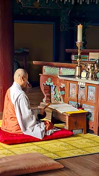 Monaco buddista in meditazione nel tempio di Bulguksa