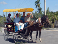 Carrozza