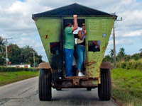 Carro-bus