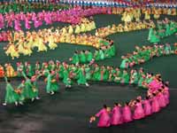 Coreografie e danze