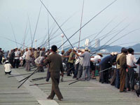 Pescatori a Wonsan