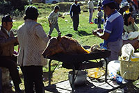 Porchetta al trancio