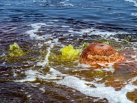 Bolle di gas al 'lago giallo'