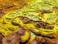 Pozze gialle al Dallol