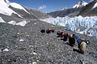 Ritorno sul ghiacciaio di Rongbuk est