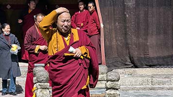 Lama a Sakya