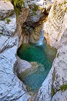 Polla d'acqua