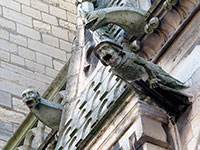 Notre Dame - Gargoyles