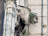 Notre Dame - Gargoyles
