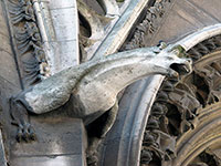 Notre Dame - Gargoyles