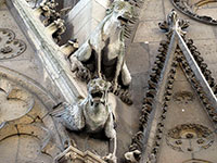 Notre Dame - Gargoyles