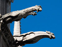 Notre Dame - Gargoyles